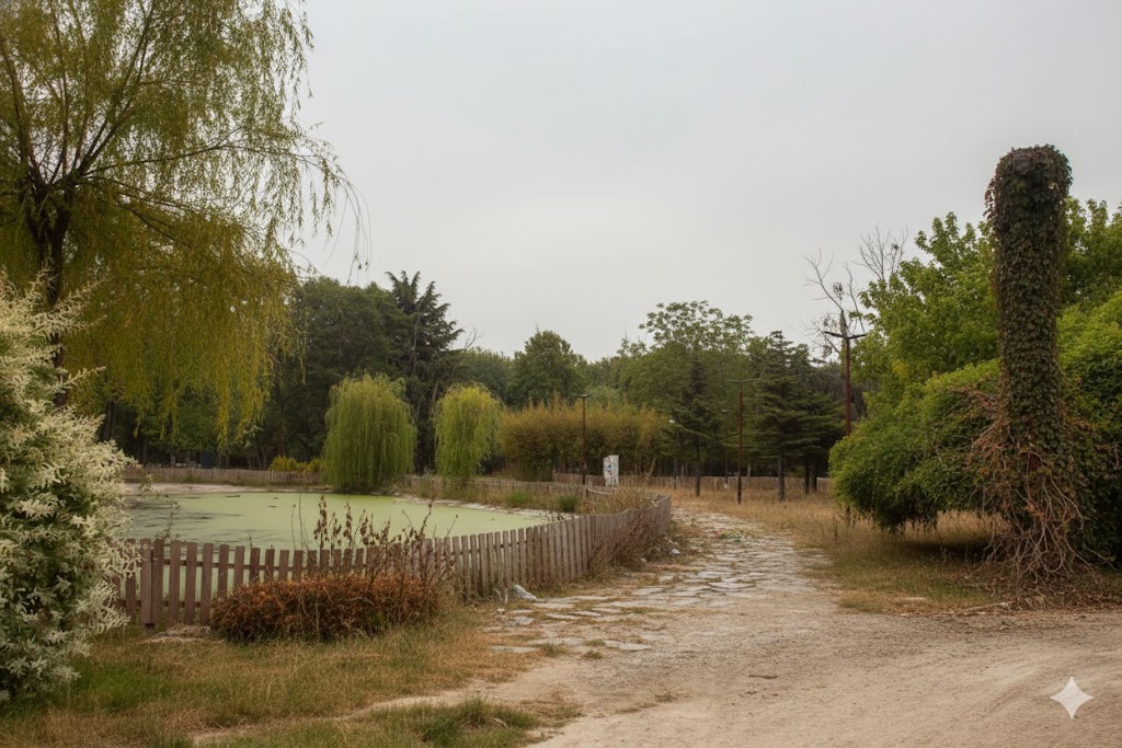 Trädgård innan professionell beskärning