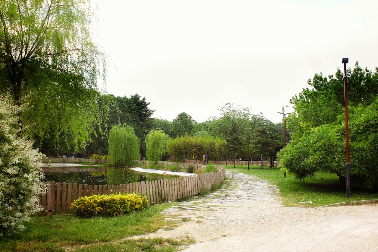 Samma trädgård efter expertbeskärning